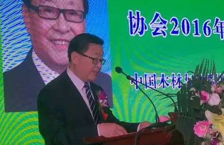 金迪集团董事长王永虎先生荣获“2017年中国木门行业年度人物”奖项！ 