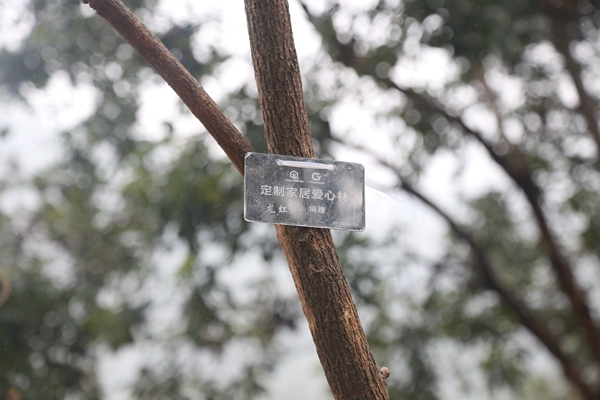 植树正当时，合生雅居撸起袖子为羊城添新绿