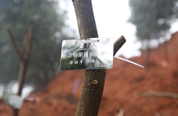 植树正当时，合生雅居撸起袖子为羊城添新绿
