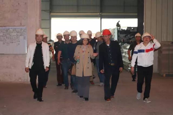 奥运会柔道冠军冼东妹一行参观考察“富球铝业”生产基地 