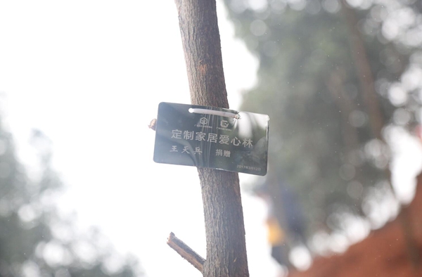 植树正当时，合生雅居撸起袖子为羊城添新绿