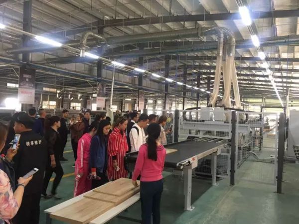亚丹无醛环保之旅：六安亚丹定制家具携业主朋友亲临湖北亚丹