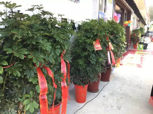 岳阳南翔万商业亚材旗舰店盛大开业 岳阳南翔万商业亚材旗舰店盛大开业