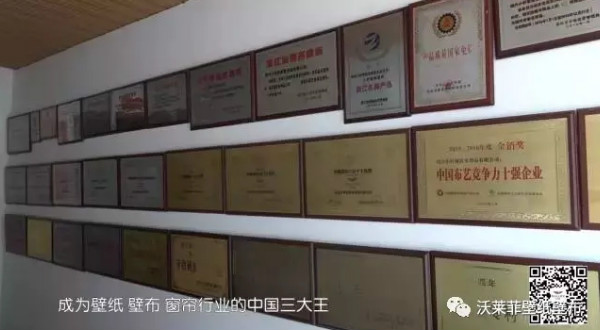 浙江教育科技频道《今日推荐》沃莱菲壁纸墙布—让千家万户蓬荜生辉