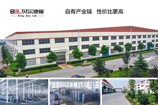 工匠精神，铸就精品——贝尔地板荣获2017年度影响力品牌称号