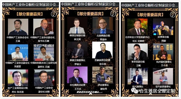 先睹为快，合生雅居受邀出席中国林产工业协会橱柜/定制家居分会成立大会