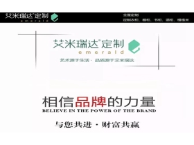 艾米瑞达：定制人生未必完美,完美生活需要全屋定制
