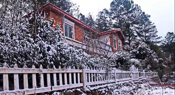 欧迪克门窗带你静静地听，雪落下的声音···