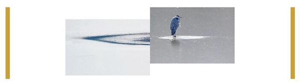 欧迪克门窗带你静静地听，雪落下的声音···