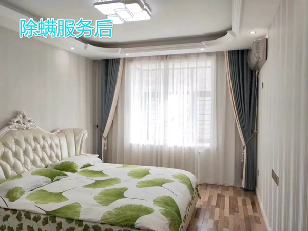 摩力克窗帘免费上门除螨，老客户赶快来预约吧！
