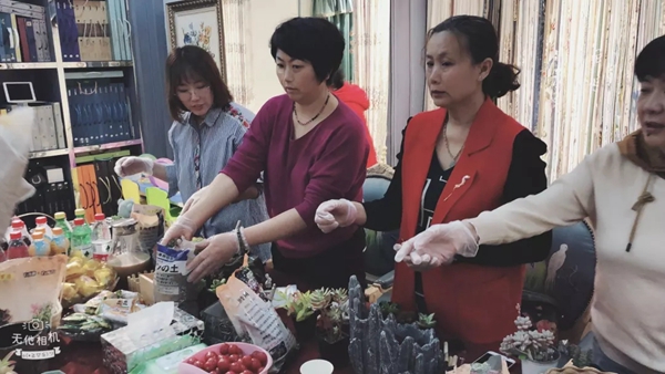 摩力克窗帘济南店多肉植物DIY活动成功举办，一起设计多肉拼盘吧！