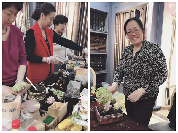 摩力克窗帘济南店多肉植物DIY活动成功举办，一起设计多肉拼盘吧！