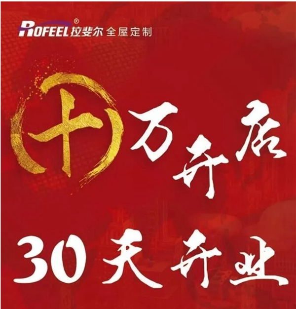 拉斐尔全屋定制，专注质量十五年，全屋定制实干家
