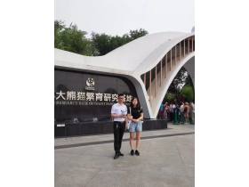 壁尚无缝墙布致力慈善捐赠活动，为保护熊猫添砖加瓦！