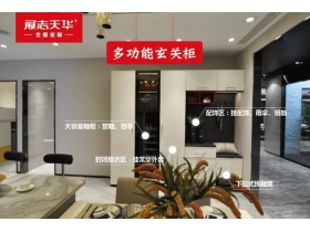 展志天华全屋定制：柏林天空系列