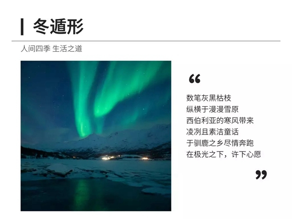 可罗雅墙布：人生五味 于行程中领略人间四季