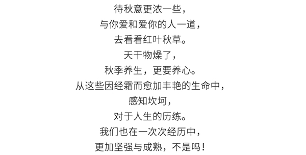 可罗雅墙布：只愿月色无限好 便有团圆好春宵！