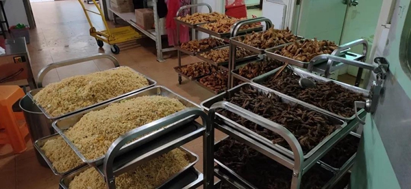 伊百丽全屋定制 热情激扬趣味运动会精彩回顾