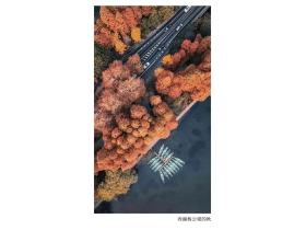 其格窗帘：金秋十月 与你共览杭州秋景之美