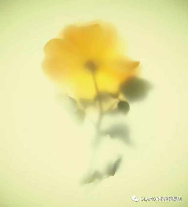格莱美墙纸：色彩让家告别千篇一律