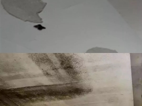 宝仕龙大板全景顶 让生活更美好