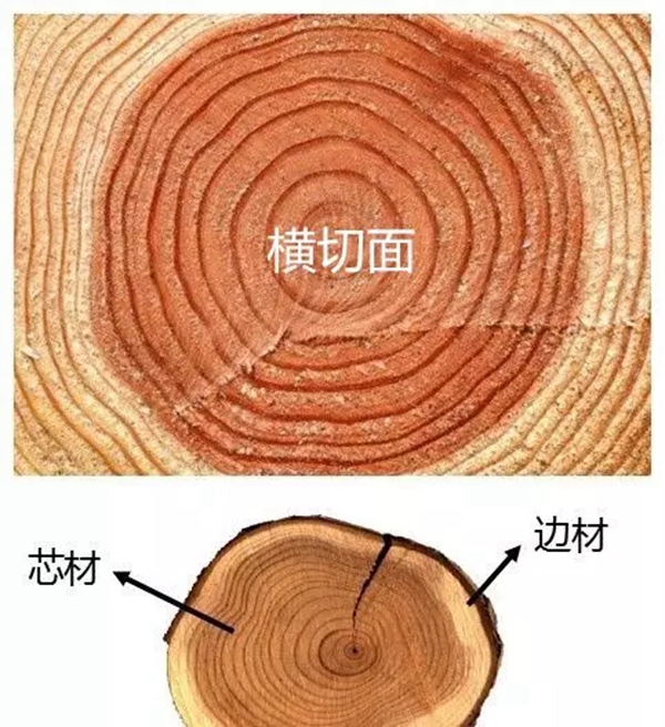 高牌地板:地板有色差 勾勒成独一无二的自然风光 高牌地板:地板有色差 勾勒成独一无二的自然风光