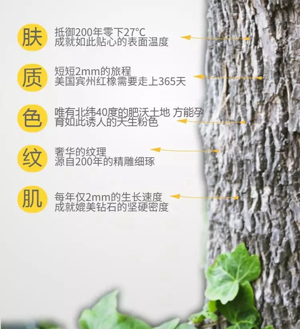久盛地板邀您加入全民橡木品质盛典
