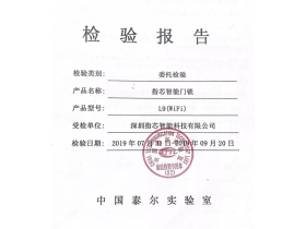 青松沃德智能锁指芯科技获得国内首个智能门锁安全能力证书