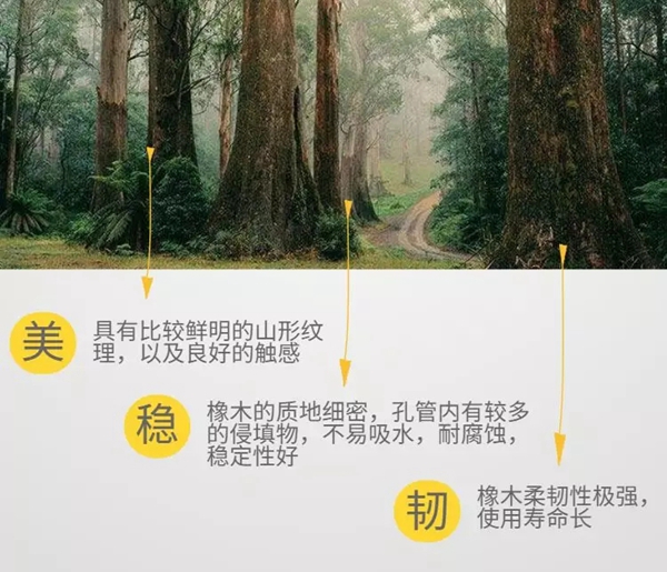 久盛地板邀您加入全民橡木品质盛典