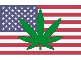 吉麻良丝汉麻无缝墙布的美国“大麻”之旅