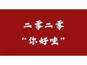 尚尚嘉SAGA HOME | 总结2019 2020我们一起成长