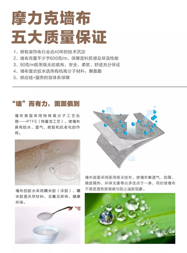摩力克:十七年不关窗的家?居然是因为这个! 摩力克:十七年不关窗的家?居然是因为这个!
