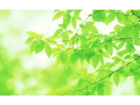 森珀雅全屋定制：宅在家里 静享春暖花开