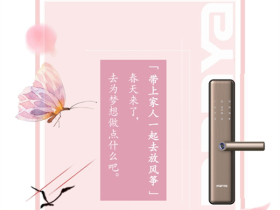 曼亚智能锁：曼亚“护”家 不负春光