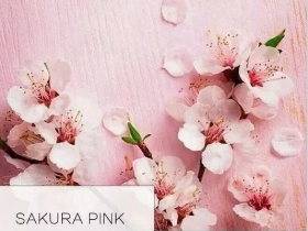 德国朗饰壁纸：满满的情意揉进樱花粉里
