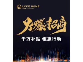 洛威客全屋定制：助您2020搭上市场的顺风车