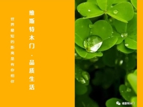 维斯特木门告诉你怎么选择简约风格木门