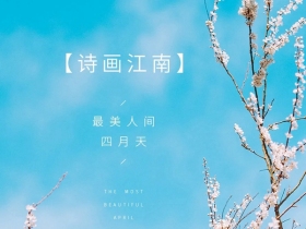 诗画江南墙布：最美人间四月天