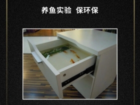 小鼎质检官·养鱼实验 | 环保，品质板材的强心剂