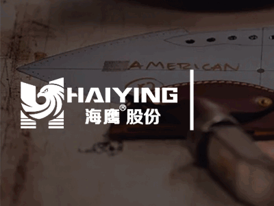 2020海鹰新战略系列报道之五：全案营销，策划未来