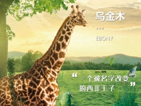 宏明泰门窗：甄选全世界的珍贵，成就一扇铝包木窗