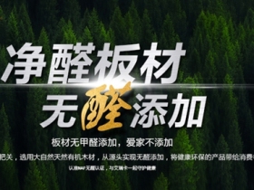 艾瑞卡全屋定制：爱家零甲醛 净醛板守护你的健康