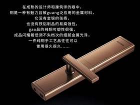 艾栖智能锁·信仰·纯铜系列 不来梅智能锁闪耀登场