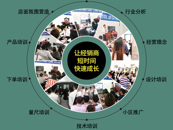 博士门窗招商加盟信息概览