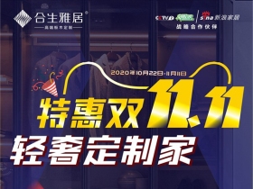 合生雅居制教你双十一如何更省钱