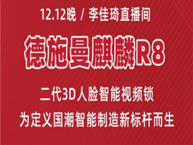 德施曼智能锁丨双12大促包揽单品销售冠亚军 前5位单品占据3席