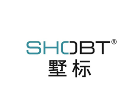 墅标门窗丨2020年成就展示