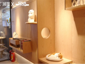 润成创展：喵星人突袭 全新定义家装“大趋势”
