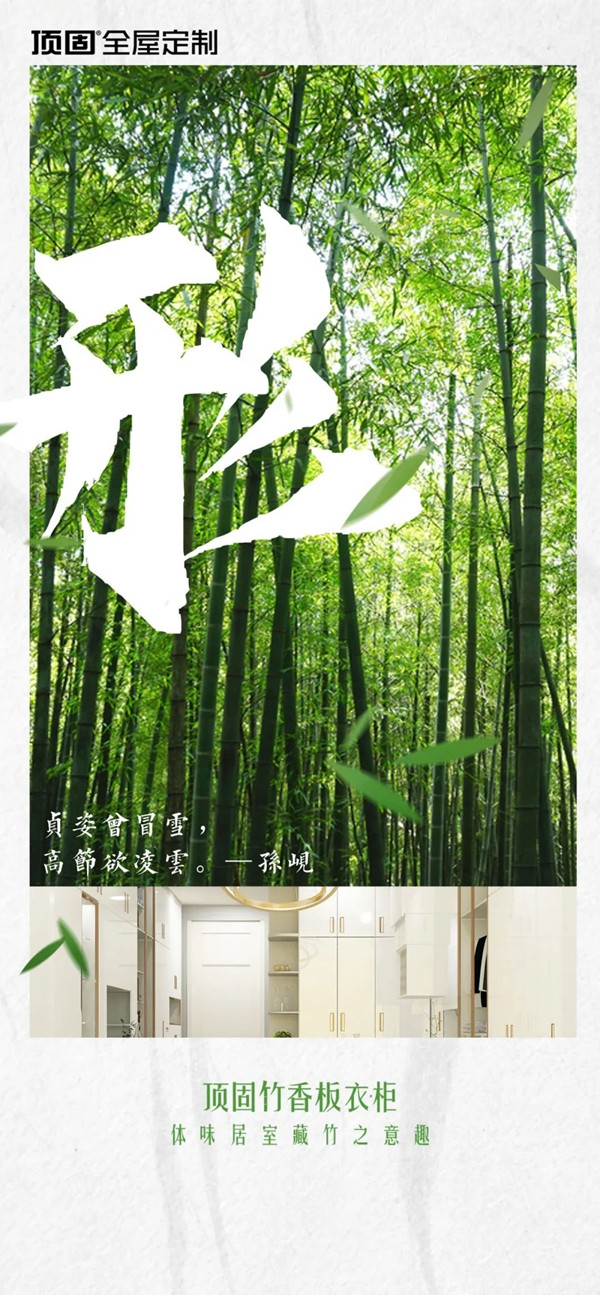 顶固全屋定制竹香板衣柜，为生活添无限乐趣