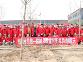 霍尔茨木门绿色植树活动圆满结束